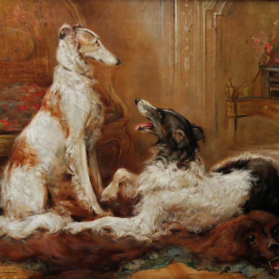 Borzoi