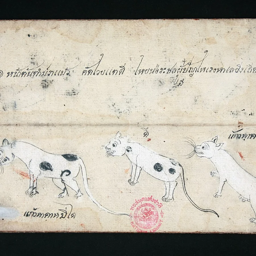 Khao Manee